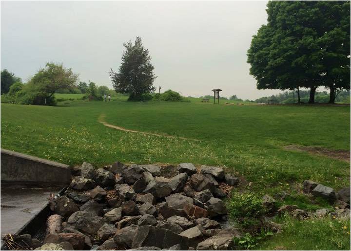 view of the dm at parks pond