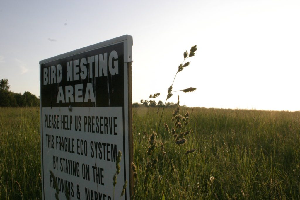 sign warning of bird nesting area keep out of hayfield