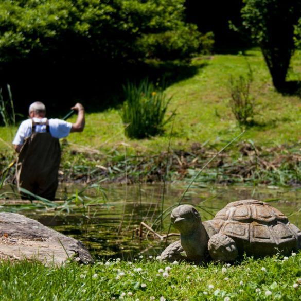 man in waders raking out weeds from pond