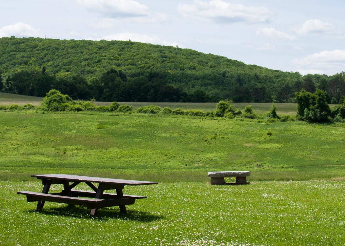 picnic-area-overlooking-hayfields